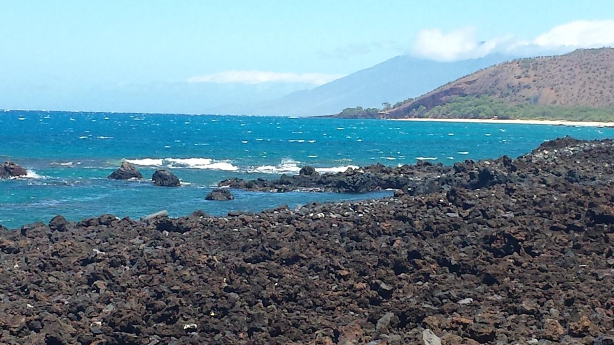 Ahihi-Kinau Natural Area Reserve, Остров Мауи: лучшие советы перед  посещением - Tripadvisor