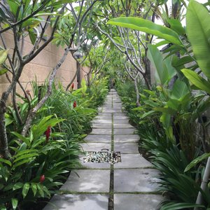 walkway to our room