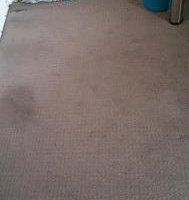 Filthy carpet. This was stained over years!