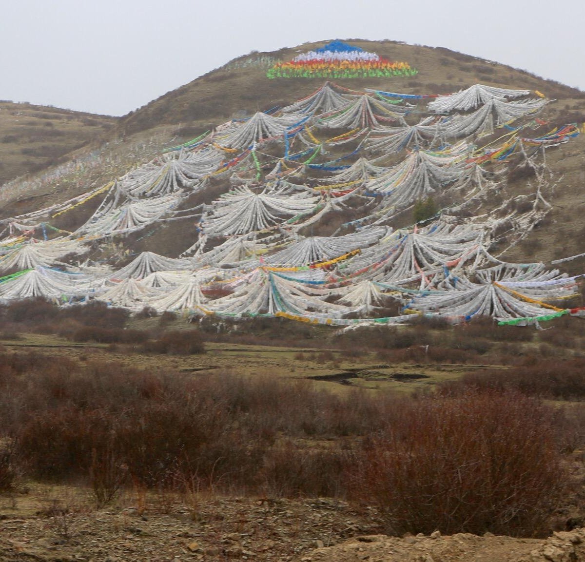 Hongyuan Prairie All You Need to Know BEFORE You Go (2024)