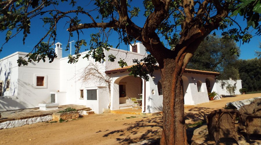 ingresso