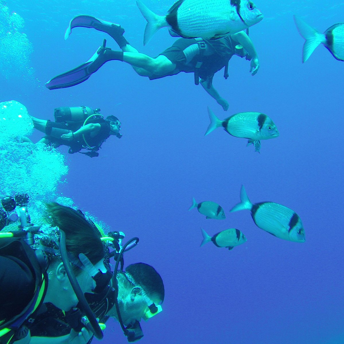 Айя Напа дайвинг центр Olympian Divers