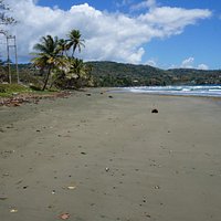 Hillsborough Bay 2016