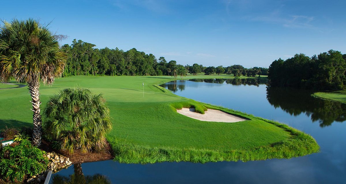 Disney S Palm Golf Course Orlando All You Need To Know Before You Go