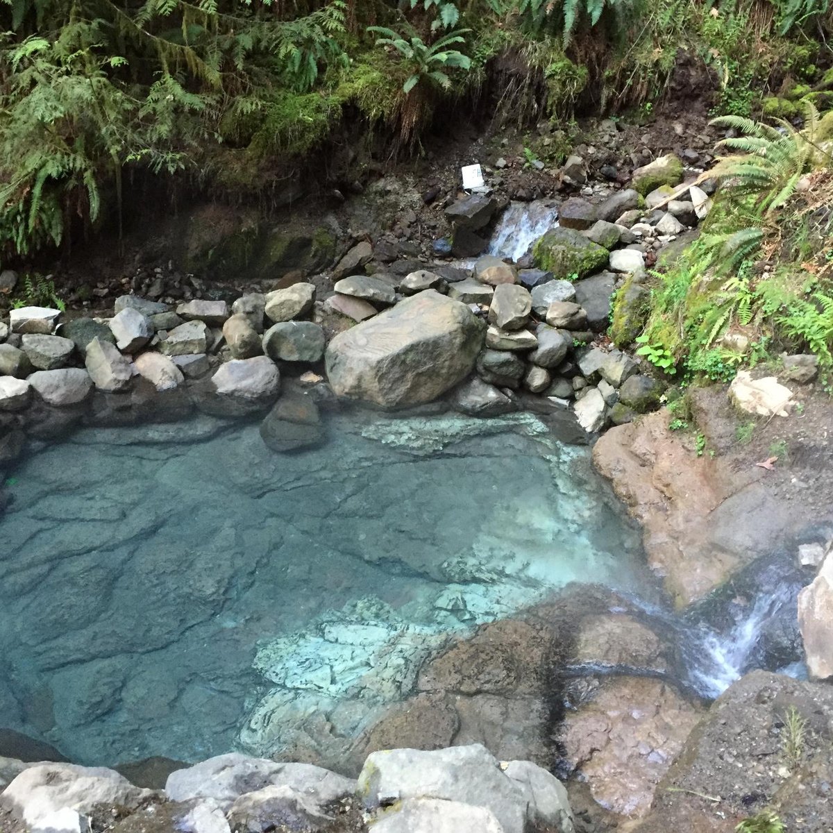 Terwilliger Hot Springs - All You Need to Know BEFORE You Go (2024)