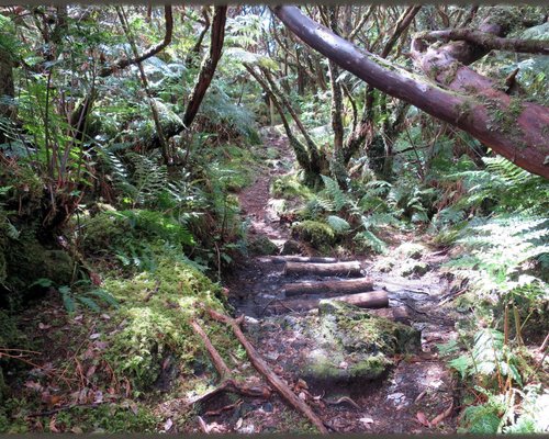 As melhores trilhas de Moto Trail em Pico da Urze, Açores (Portugal)