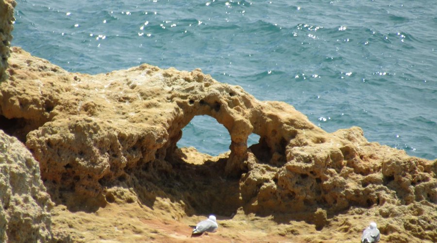 Rocks from the Boardwalk