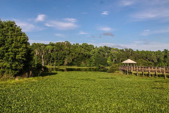 Micanopy, FL Tourismus in Micanopy Tripadvisor