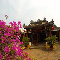 花が綺麗