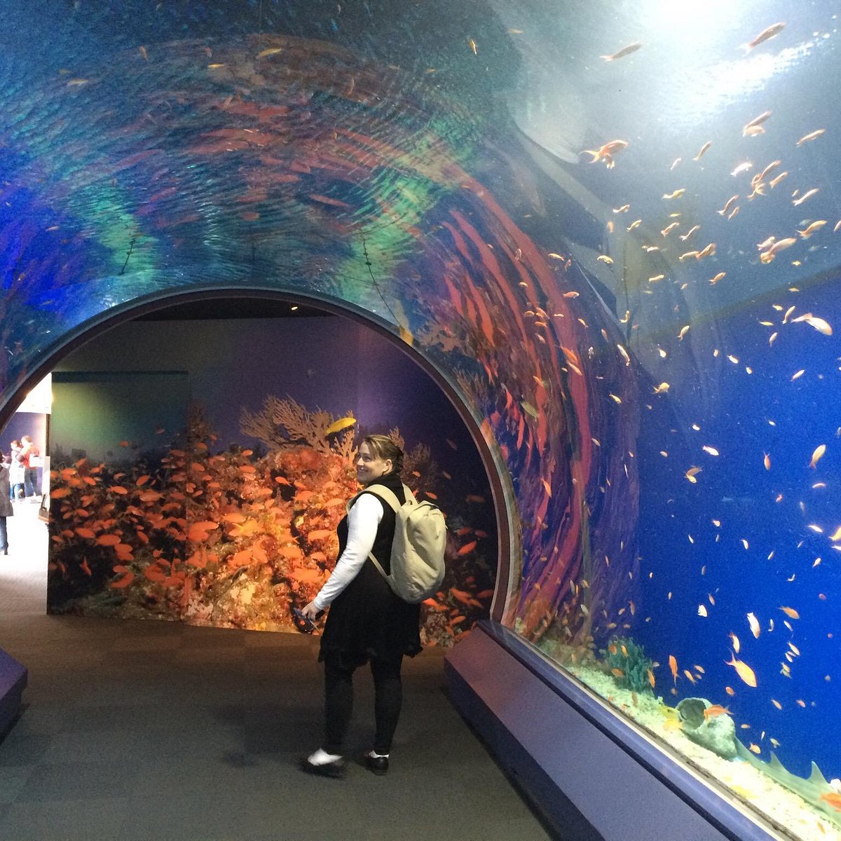 Osaka Aquarium Kaiyukan - All You Need to Know You Go
