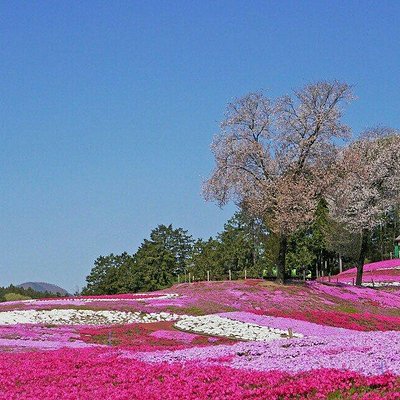 21年 高崎市で絶対外さないおすすめ観光スポットトップ10 定番から穴場まで トリップアドバイザー 21年 高崎市で絶対外さないおすすめ観光スポットトップ10 定番から穴場まで トリップアドバイザー