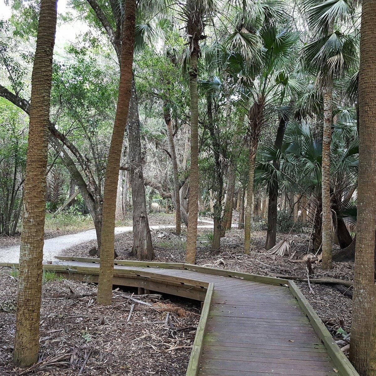 Cullums Bonita Trail Bonita Springs All You Need To Know Before You Go