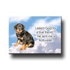 ROTTIEPRINCESS