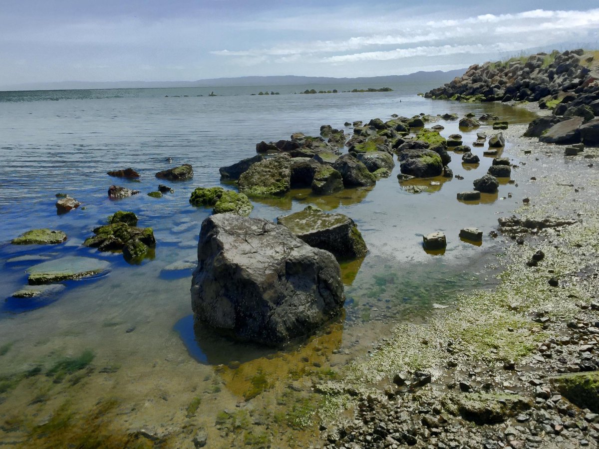 Crab Cove Visitor Center (Alameda) - All You Need to Know BEFORE You Go