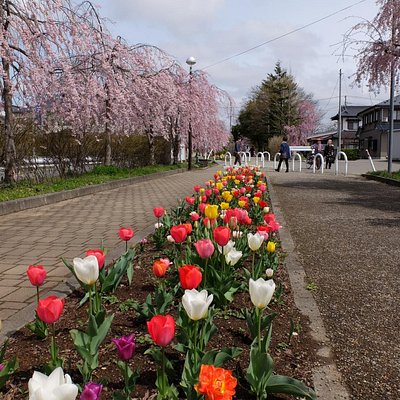 21年 喜多方市で絶対外さないおすすめ観光スポットトップ10 定番から穴場まで トリップアドバイザー