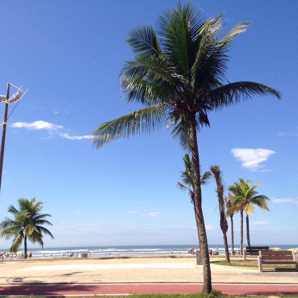 Praia Cidade Ocian - O que saber antes de ir (ATUALIZADO 2025)