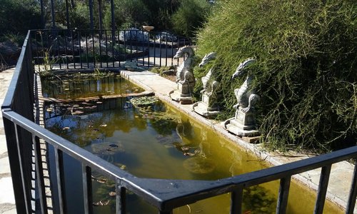 A peaceful garden on the outskirts of Peterborough.