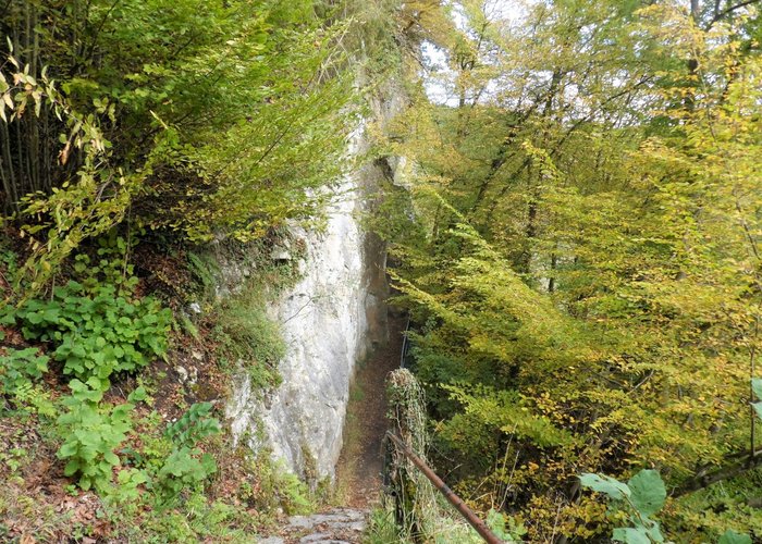 Parc de Furfooz