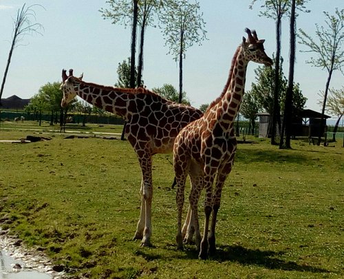 THE 5 BEST Zoos & Aquariums in Emilia-Romagna (Updated 2024)