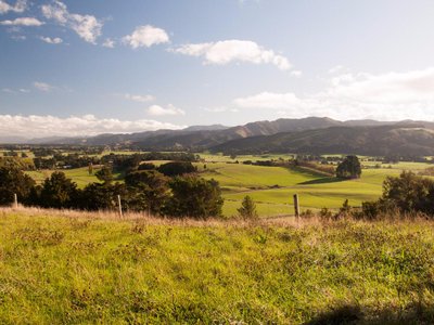 Wairarapa 2024: Best Places to Visit - Tripadvisor