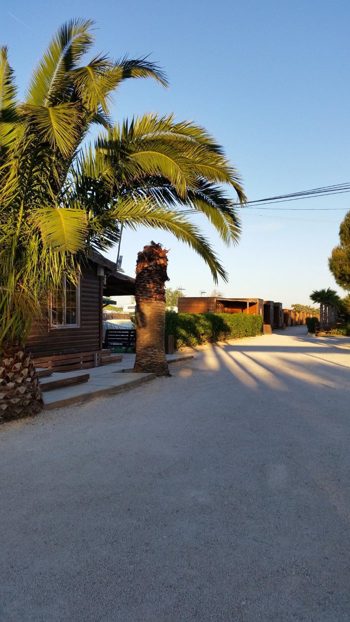 Imagen 20 de Bungalows Park Albufera