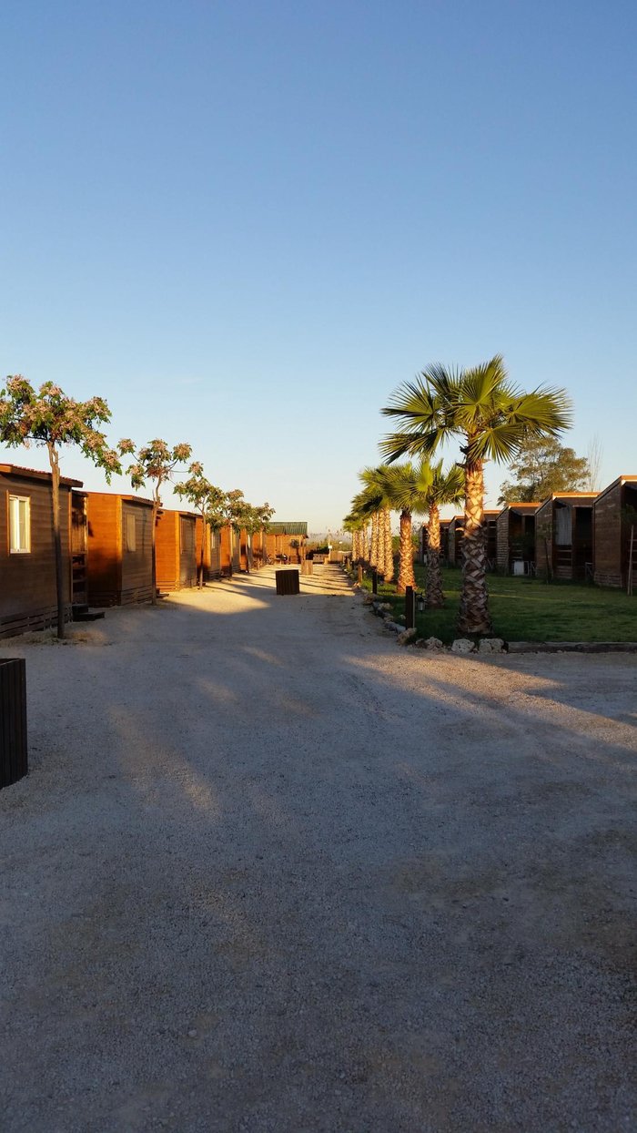 Imagen 19 de Bungalows Park Albufera