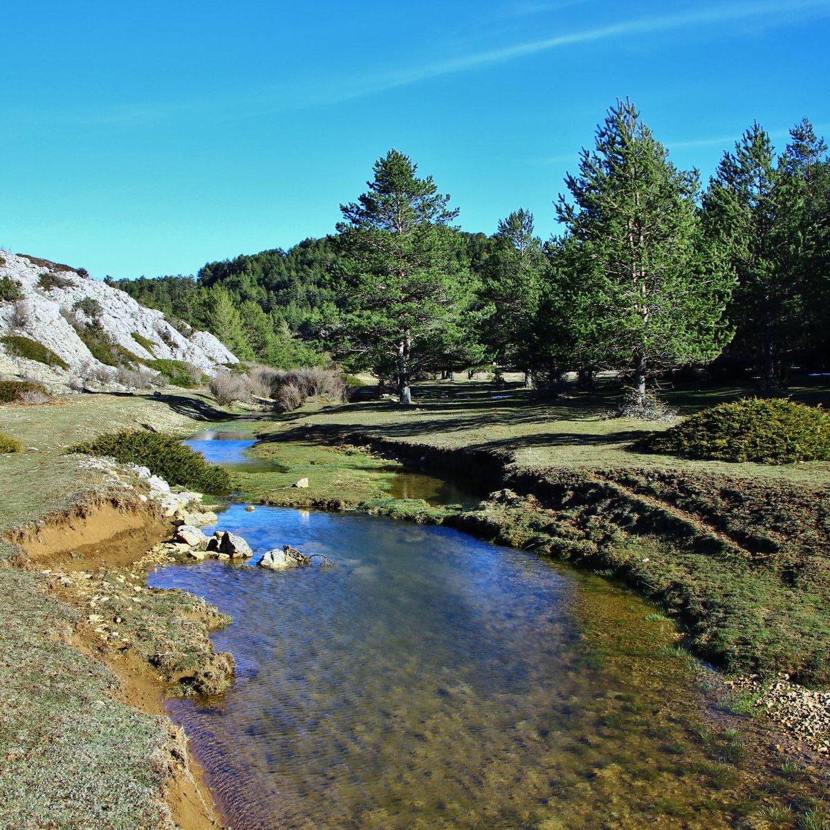 NACIMIENTO DEL RIO TAJO (Frias de Albarracin): Ce qu'il faut savoir ...