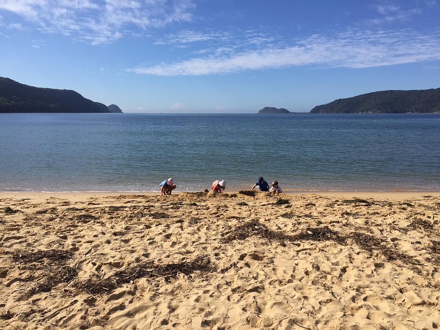 35 beautiful Patonga beach camping dog friendly east coast