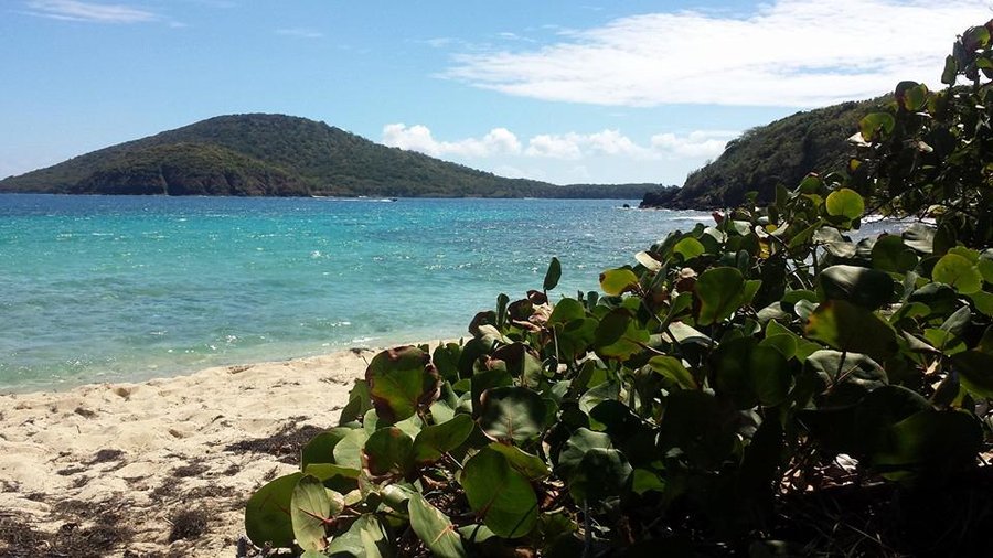Carlos Rosario Beach