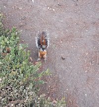 Friendly park beggers