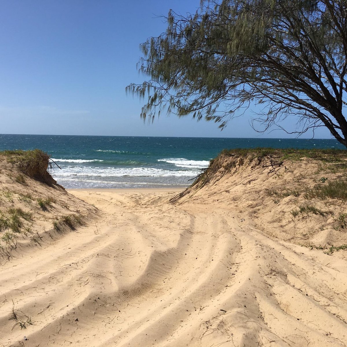 Burrum Coast National Park Bundaberg All You Need To Know