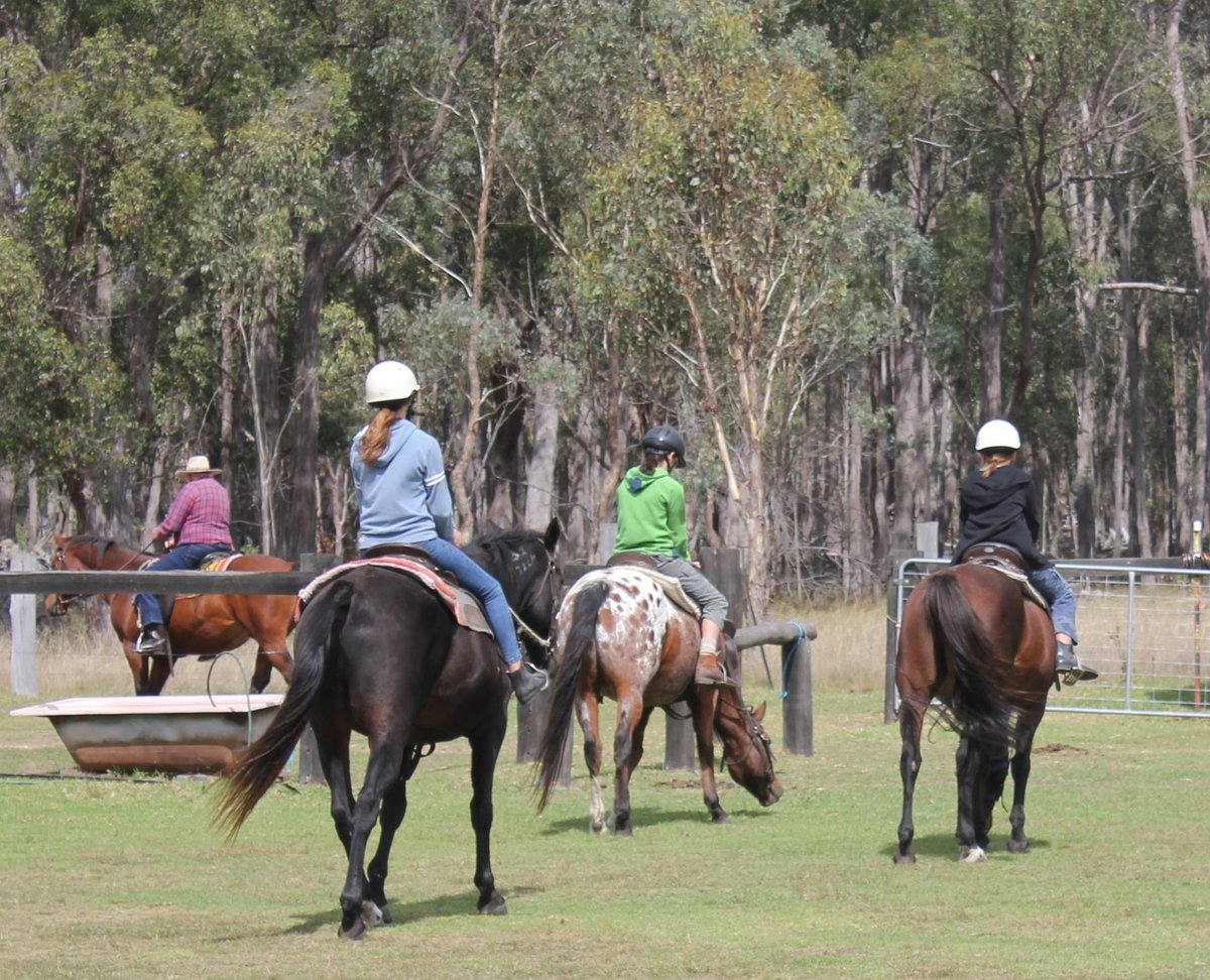 BULLOCK MOUNTAIN HOMESTEAD - Guest house Reviews (Glen Innes, Australia)