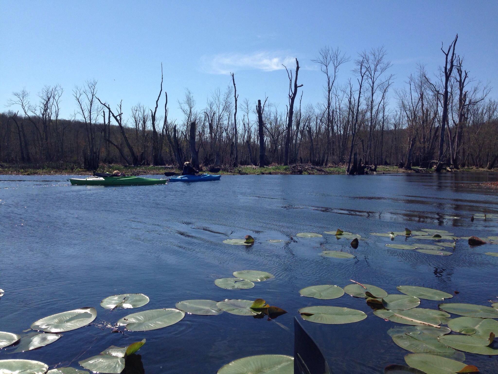 THE BEST Hotels In Patterson NY 2024 Tripadvisor   Kayaked Through The Swamp 