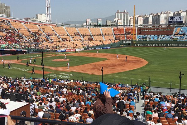 LOTTERIA SAJIK BASEBALL STADIUM STORE, Busan - Restaurant Reviews, Photos &  Phone Number - Tripadvisor