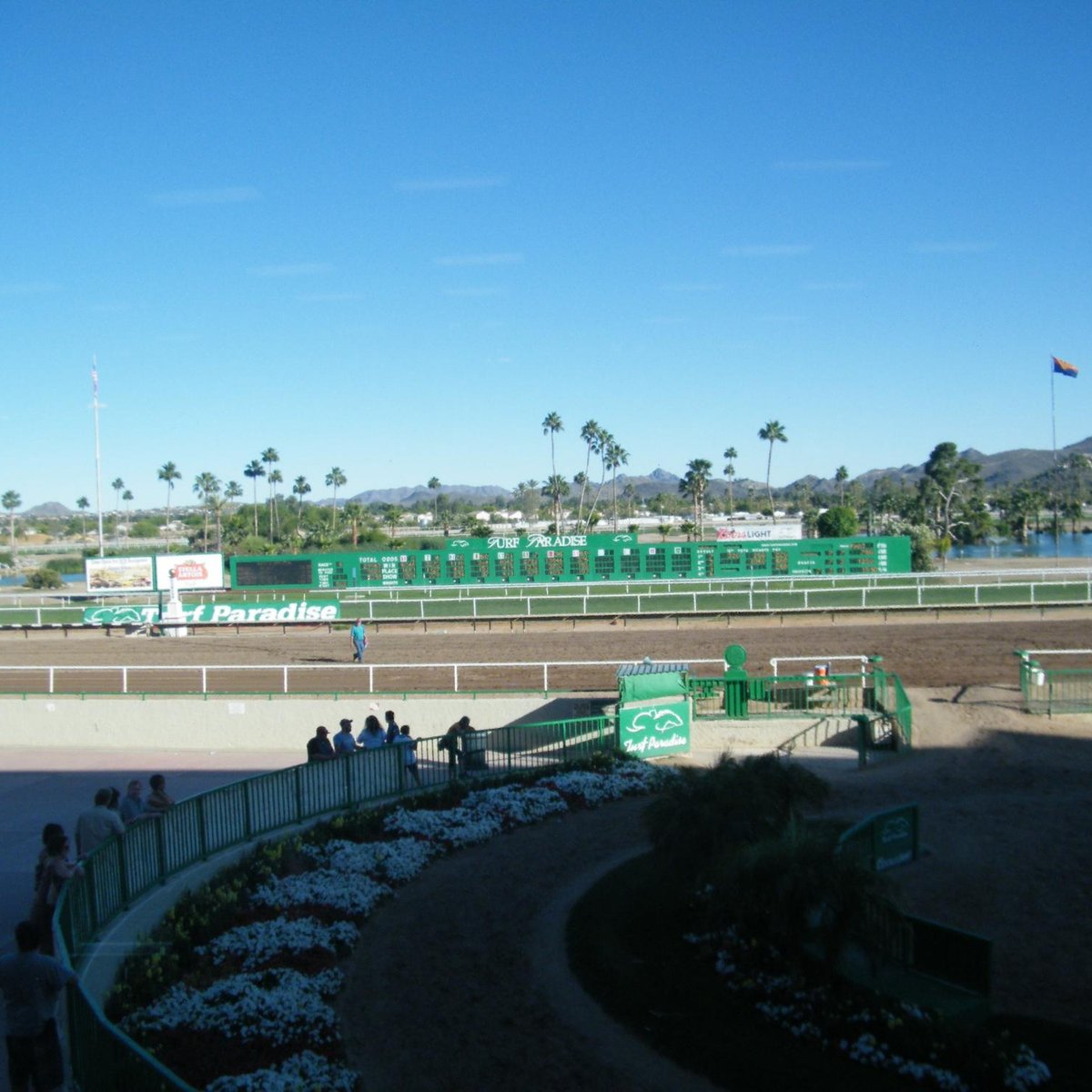 arizona-downs-at-turf-paradise-arizona-memory-project