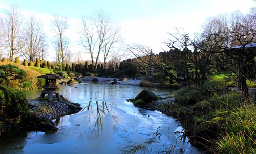 Le jardin japonais