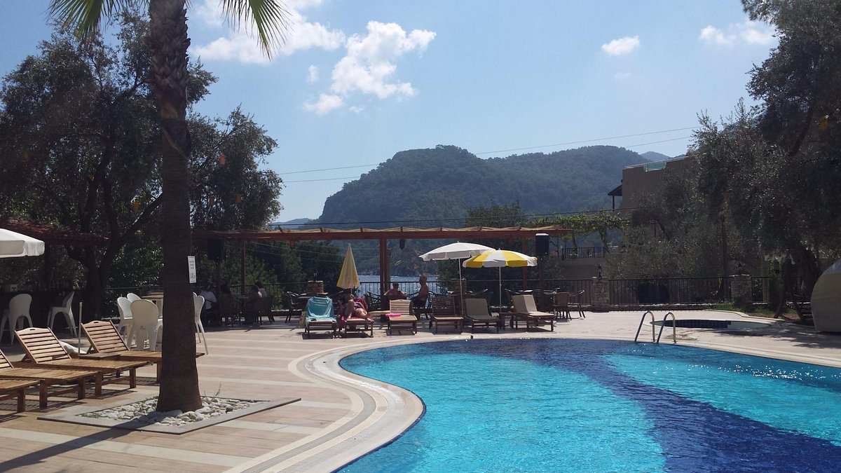 Meril Club Hotel Spa Pool Pictures & Reviews - Tripadvisor