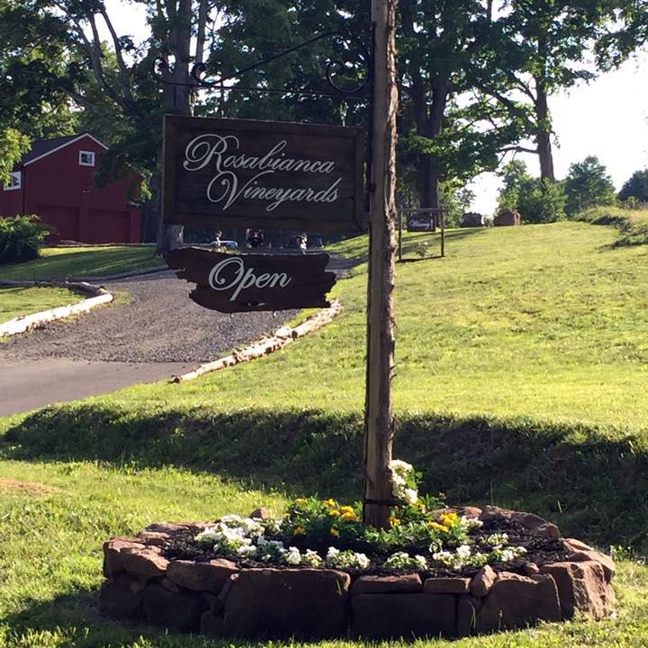 THE 5 BEST Things To Do In Northford 2024 Must See Attractions   Rosabianca Vineyards 