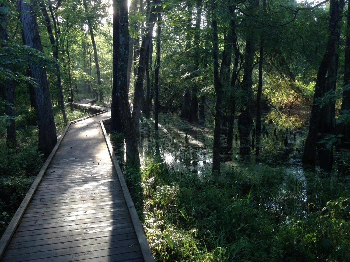 Jesse H. Jones Park and Nature Reserve (Humble) : 2023 Ce qu'il faut 