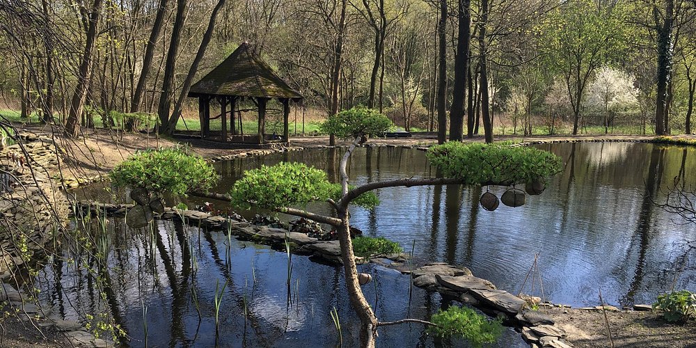 Фото зелена гура польша