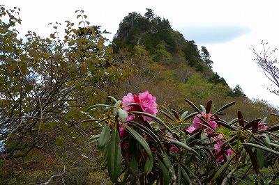 稲村ヶ岳