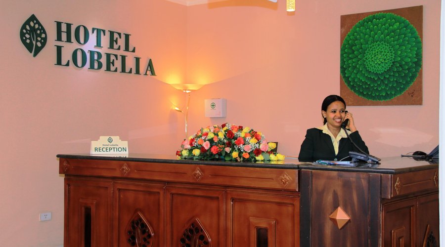 We enjoy making our guests feel at home !