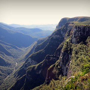 Apiário de Cambará do Sul oferece Passeio do Mel - Celso Sgorlla