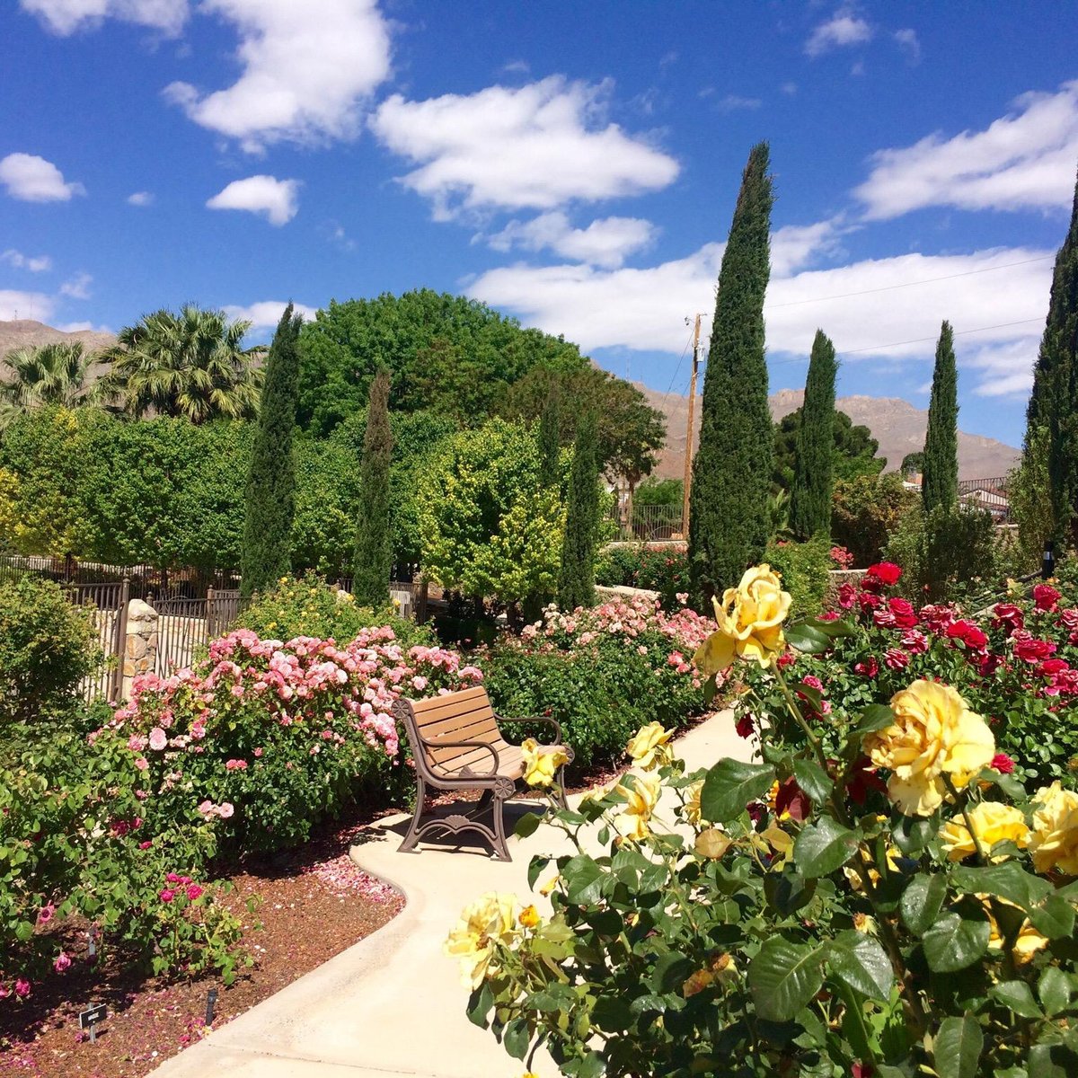 El Paso Municipal Rose Garden - All You Need to Know BEFORE You Go (2024)