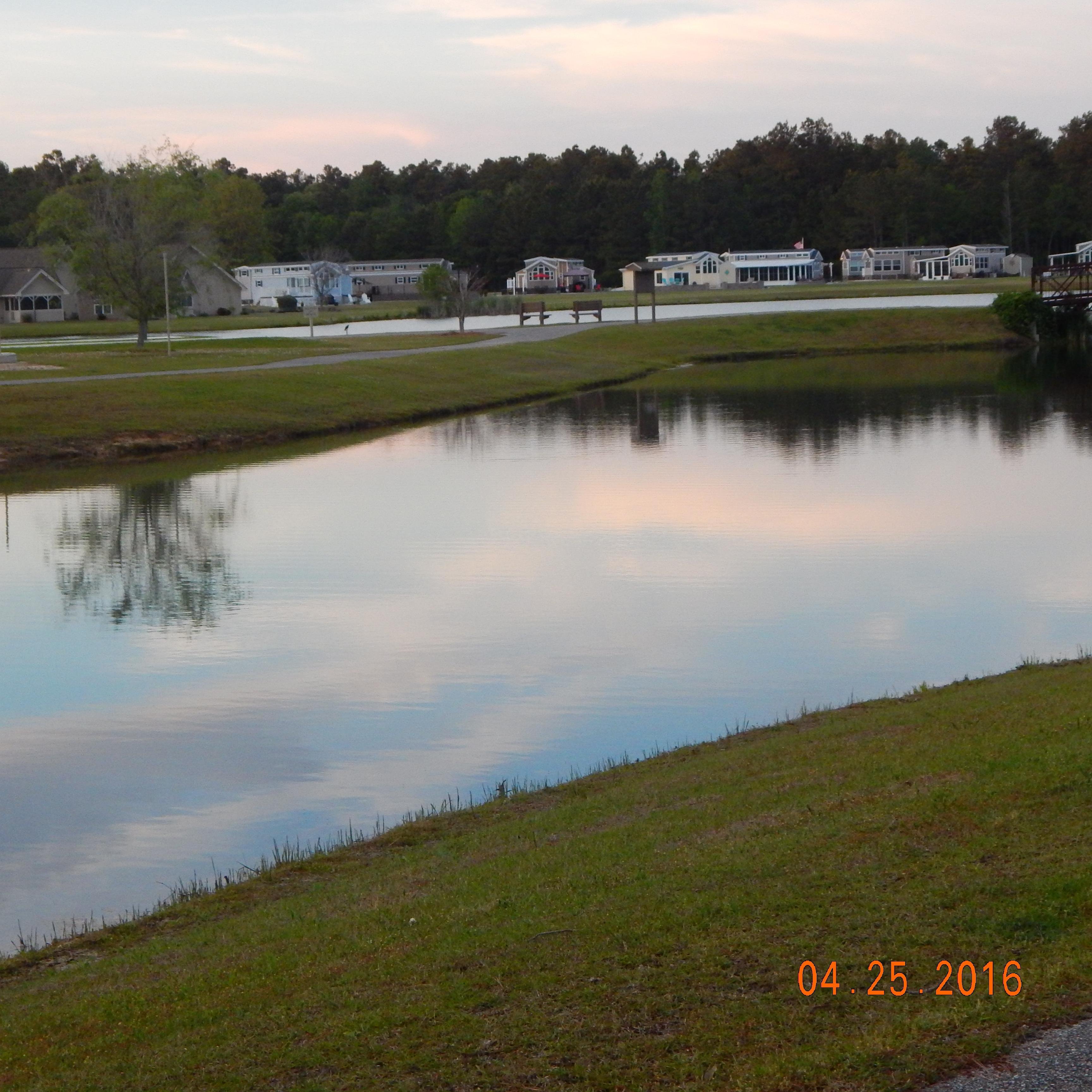 WILLOWTREE RV RESORT Updated 2024 Campground Reviews Longs SC   Sunset At Willow Tree 