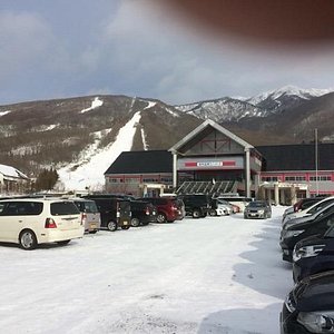 21年 フラワー ガーデン森の風 行く前に 見どころをチェック トリップアドバイザー 21年 フラワー ガーデン森の風 行く前に 見どころをチェック トリップアドバイザー