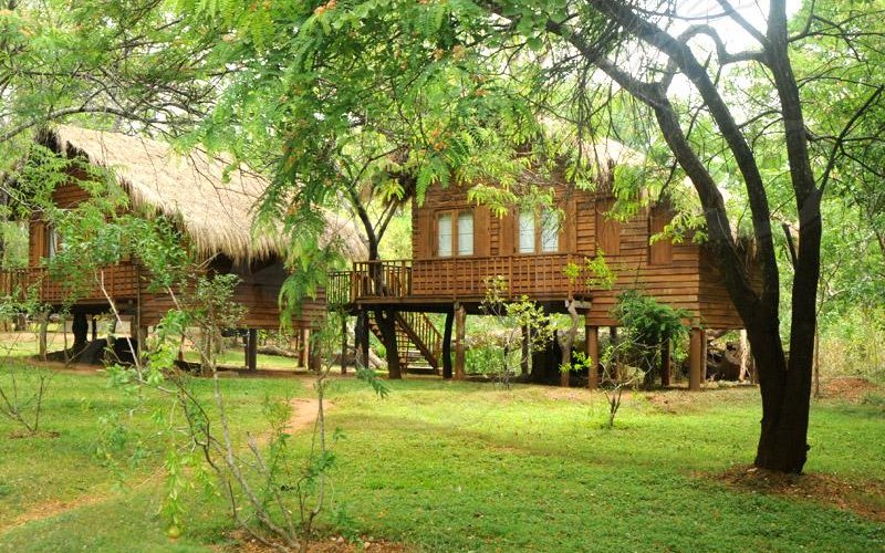 Tree Cottages