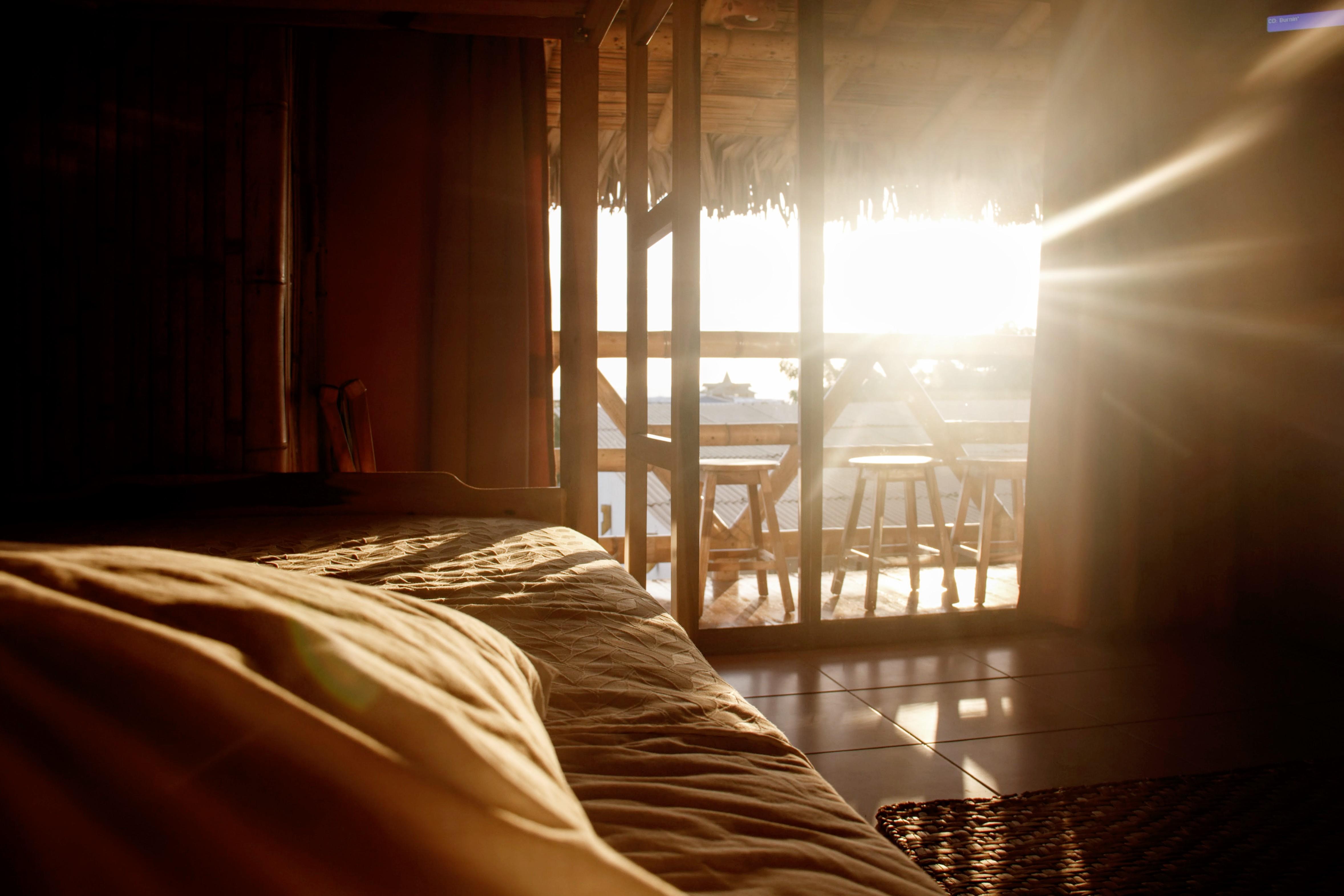 Hotel photo 13 of Nativa Bambu Ecolodge.