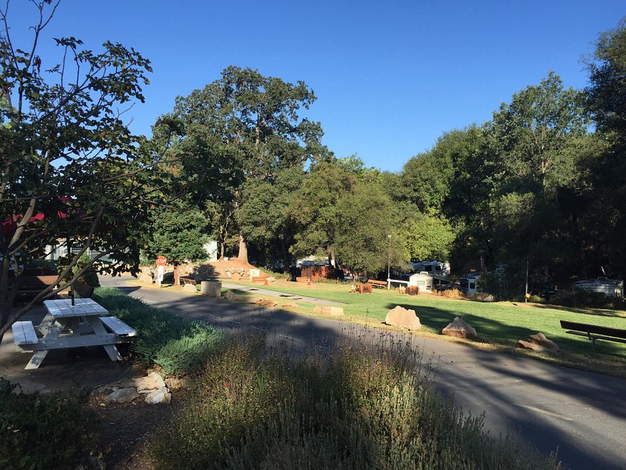 Woodside Rv Park Campground Rv Parks Campground Fort Bragg California