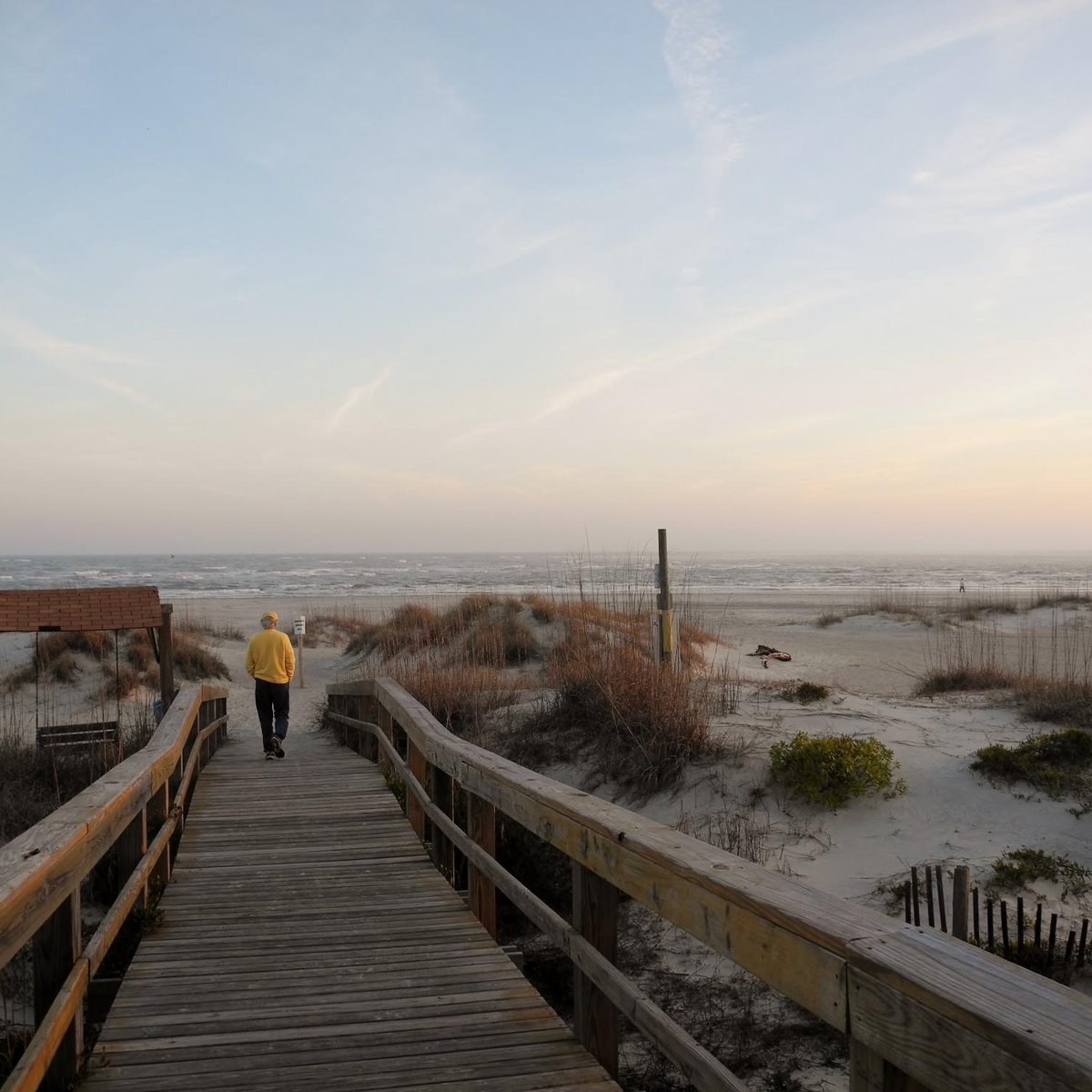 Savannah GA Tybee Island Hot Sushi Surfing classes shark bite